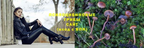 прущая мука Нефтегорск